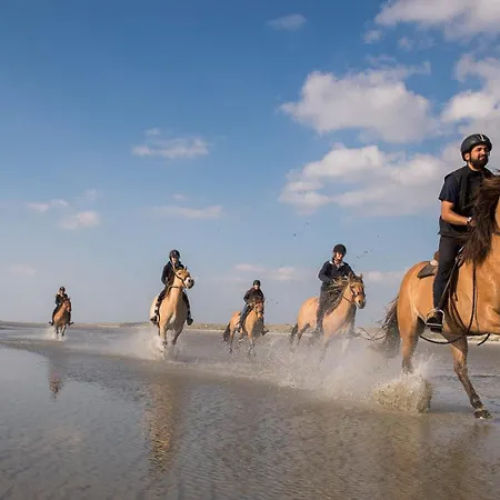 Apartment Le Marquenterre