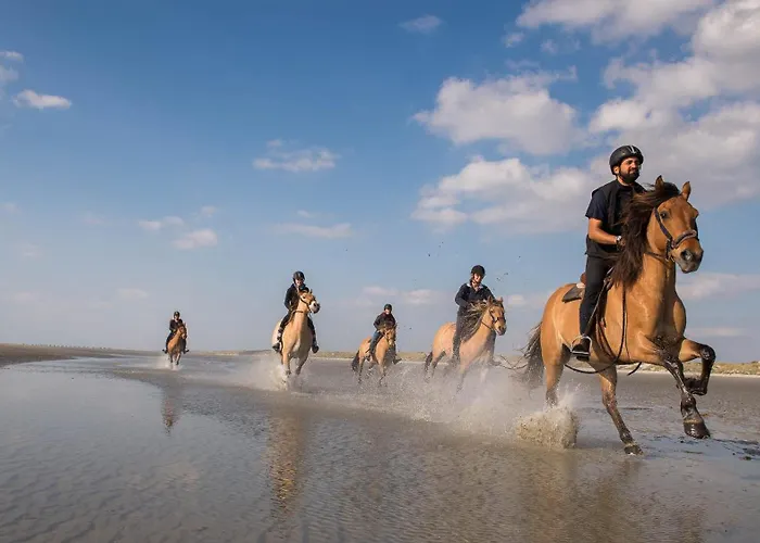 Apartamento Le Marquenterre